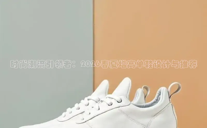蜘蛛看球直播体育